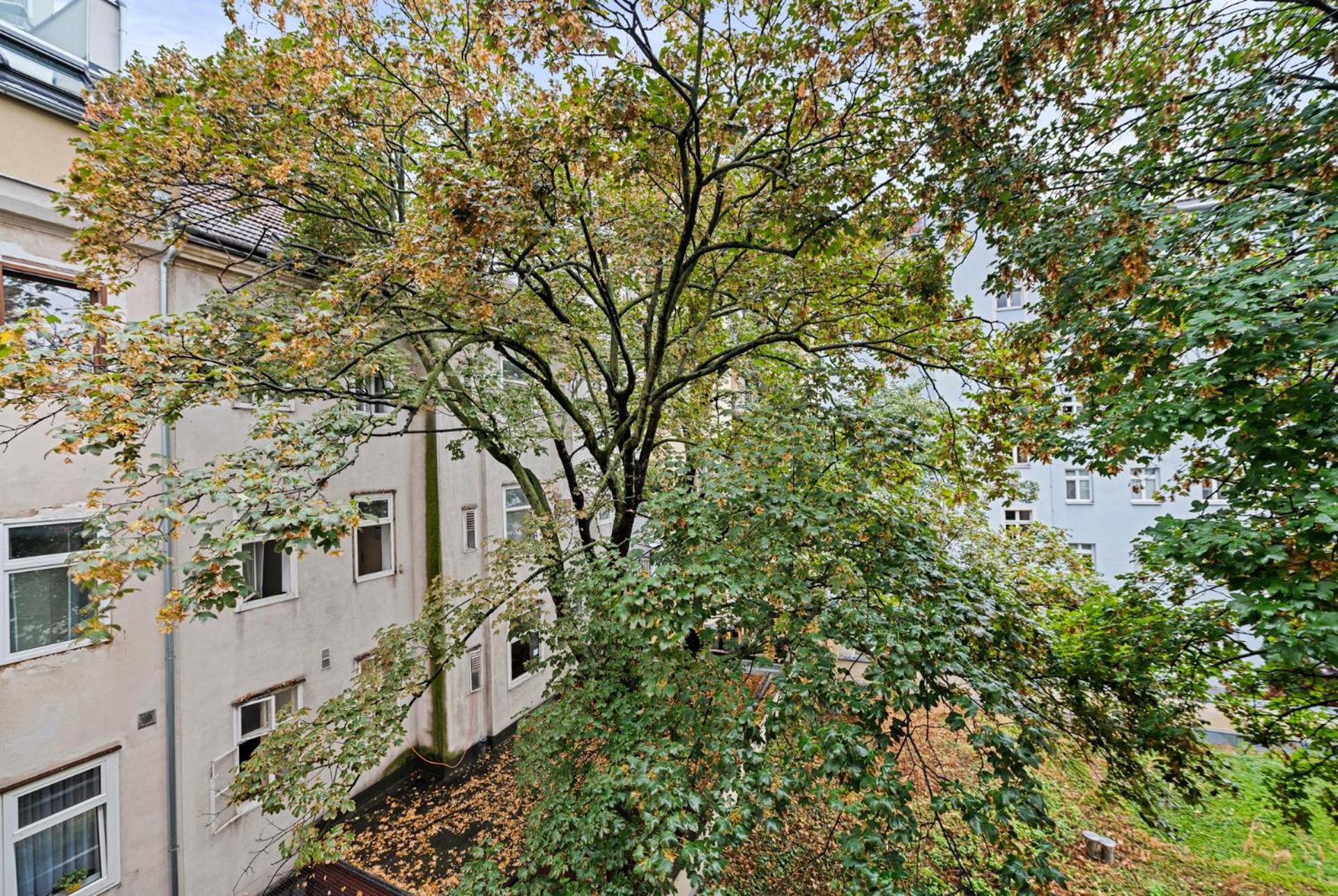 Cozy, Generous City Apartment - 10 Min To City-Centre - Contactless 24H Check-In เวียนนา ภายนอก รูปภาพ